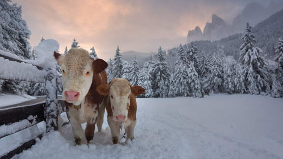 Calore tra i fiocchi?