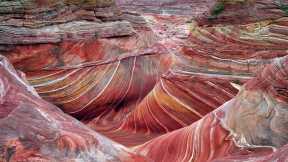 アリゾナ州の紅の渓谷
