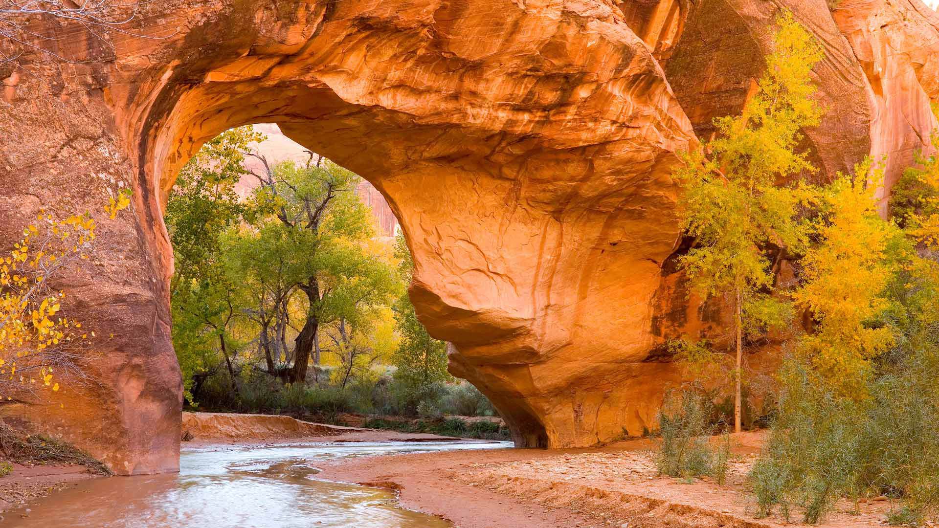 Bing HD Wallpaper Oct 6, 2024: Coyote Gulch, Glen Canyon Recreation ...