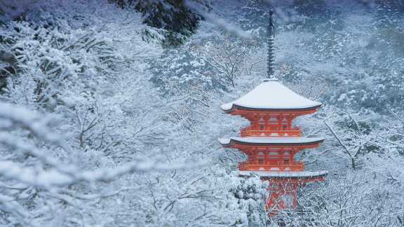 今日は「大寒」