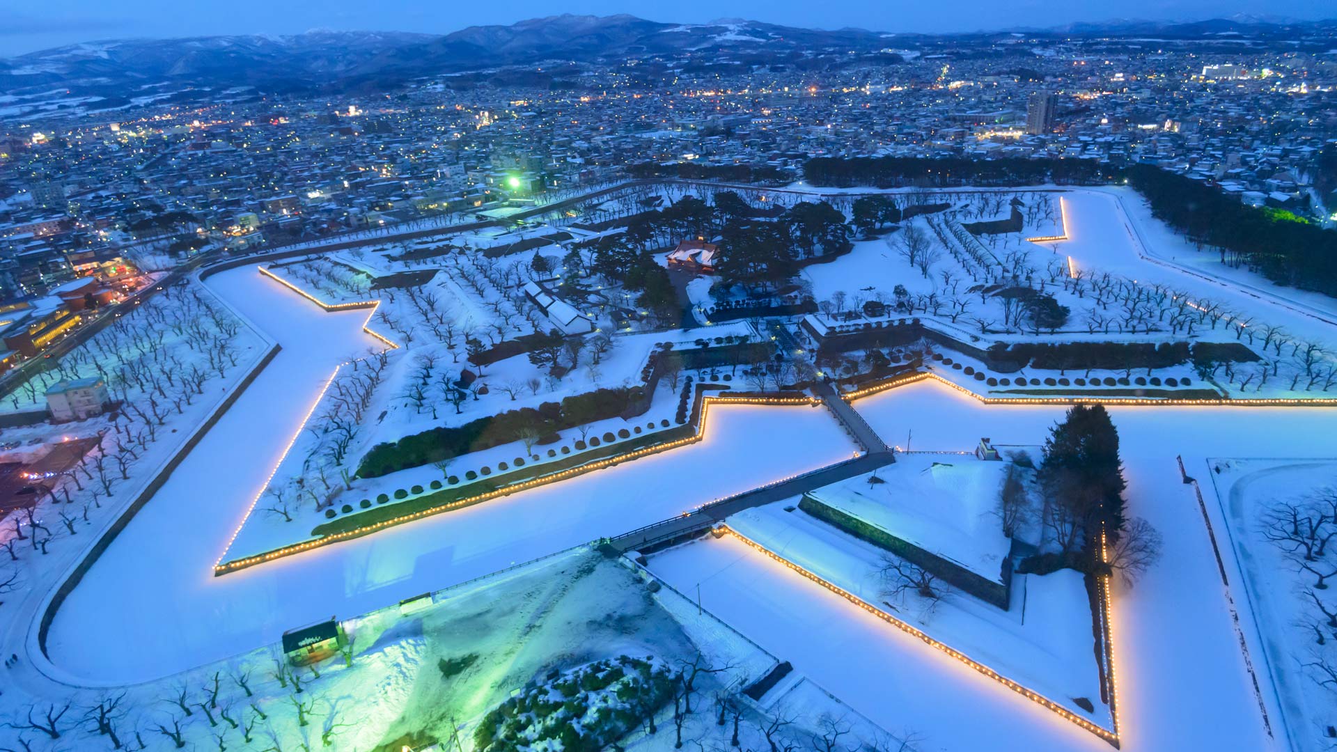 今日は大雪