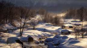 今日 は「大雪」