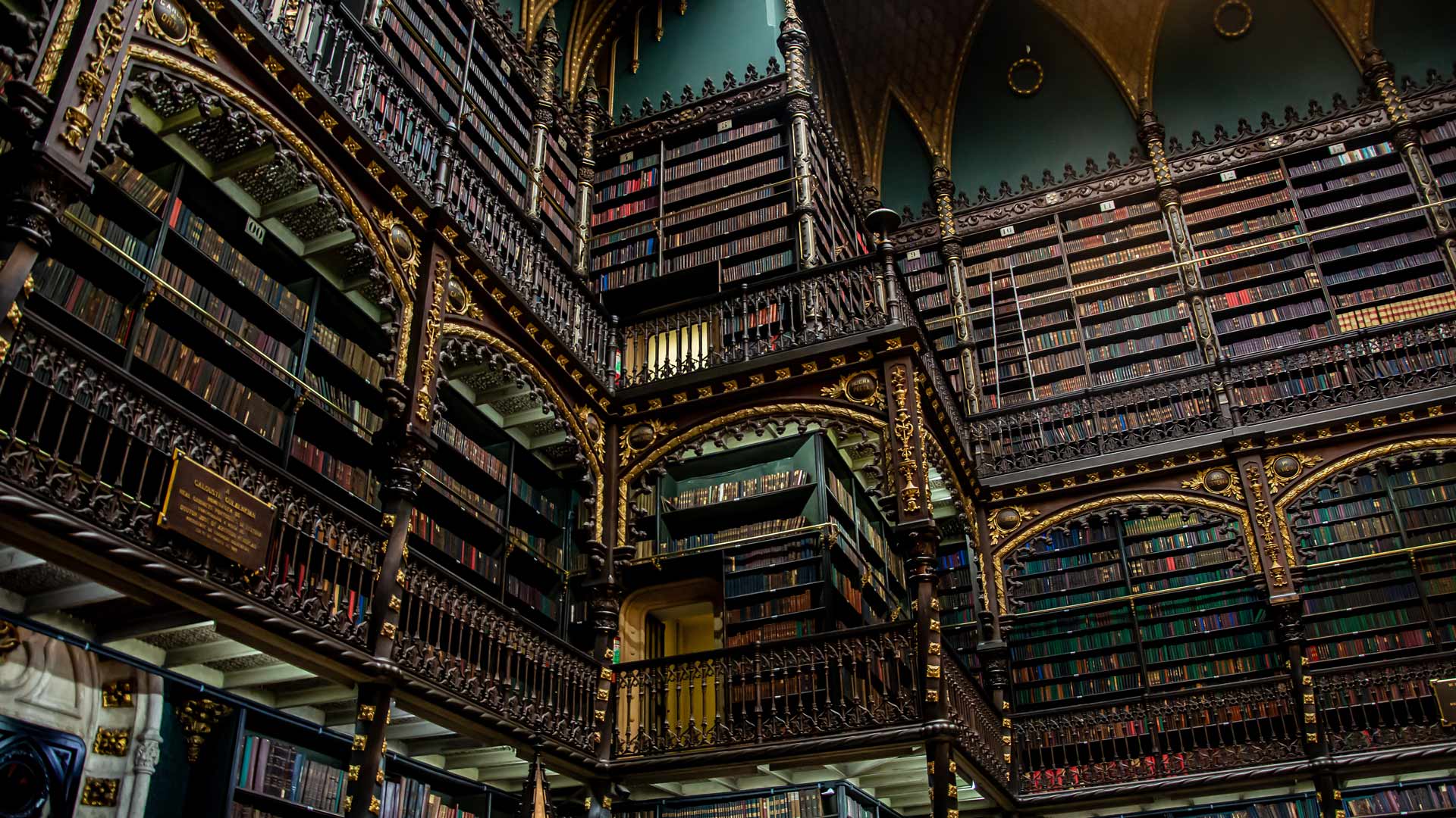 Entre no mundo dos livros
