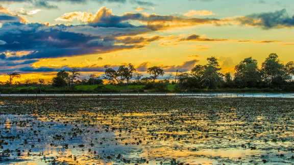 Ando devagar porque já tive pressa...