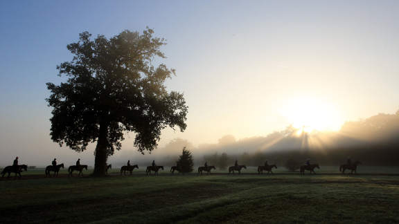 Au galop !