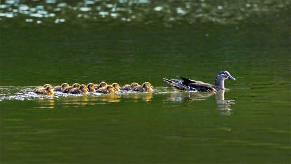 Ausflug auf dem See