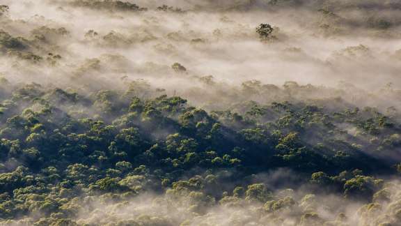 Megalong Valley, Blue Mountains National Park, Australia