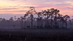 Everglades National Park marks 90 years