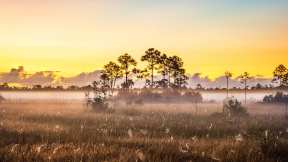 Everglades National Park, Florida, United States