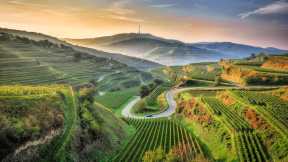 Kaiserstuhl, Germany