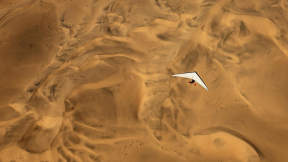 An ultralight aircraft flying over the sands of Namibia