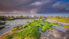 Wadden Sea coast, Friesland, Netherlands