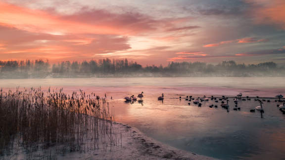 Gefrorener See bei Wintersonnenaufgang, Deutschland
