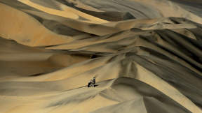 Gemsbok in Namibian sand dunes
