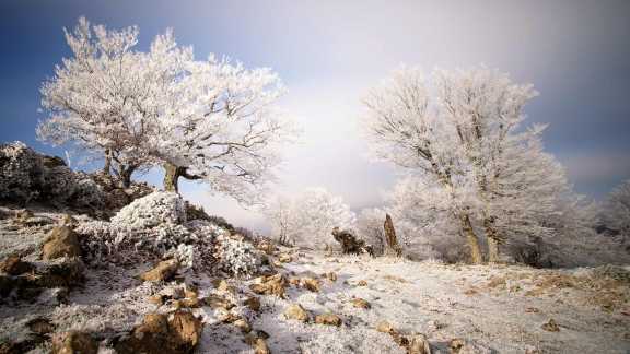 Sierra de Aralar, Navarra, España