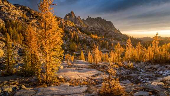 Golden larches and Prusik Peak, Enchantments, Washington, USA