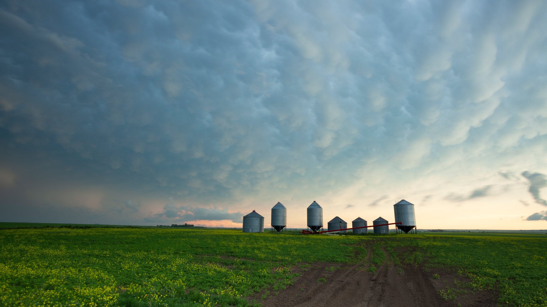 Agriculture in Saskatchewan