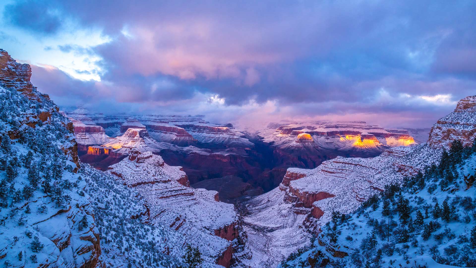 Bing HD Wallpaper 26 févr. 2024 Parc national du Grand Canyon, Arizona