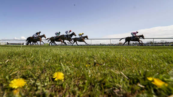 Grand National