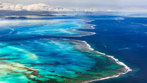 World Reef Awareness Day