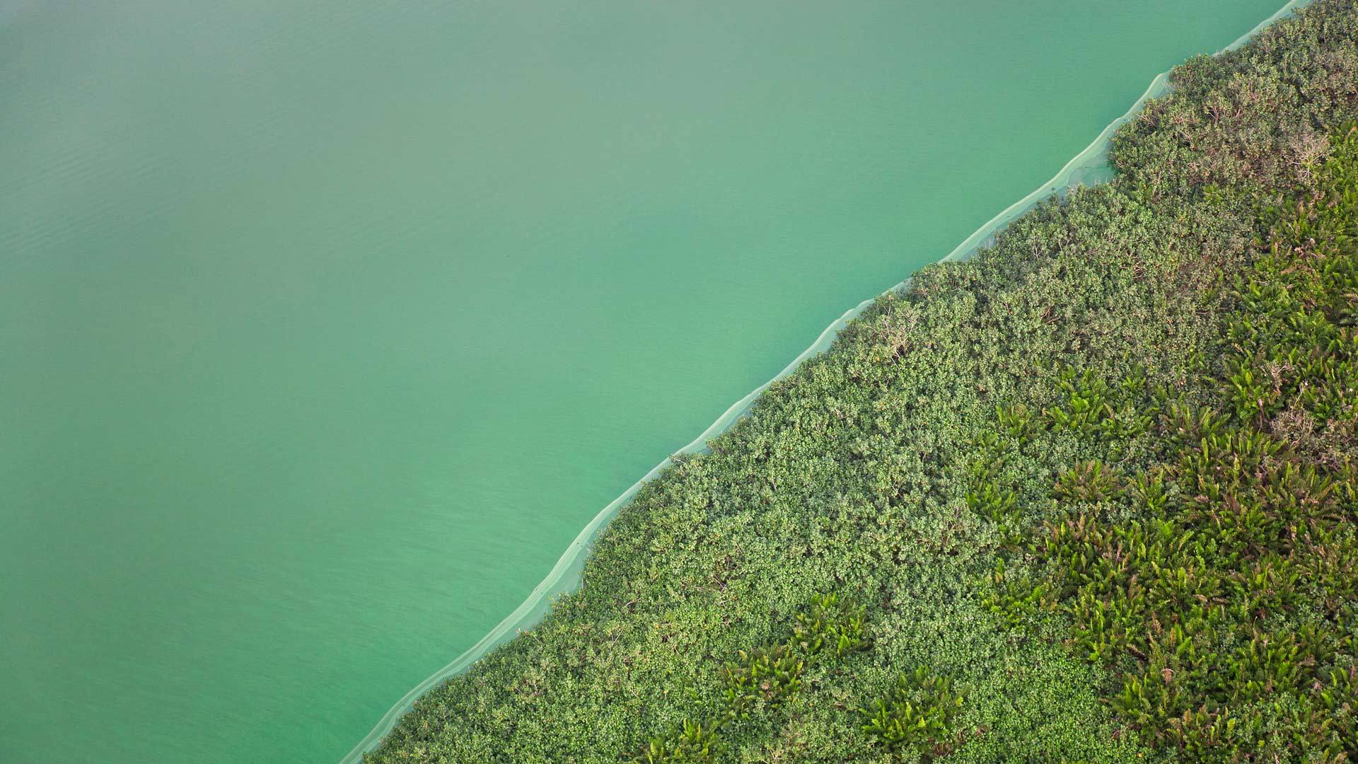 O segredo da Lagoa Verde