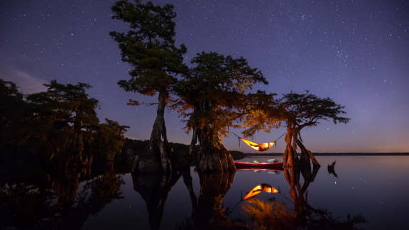 A hammock in Central Florida, USA