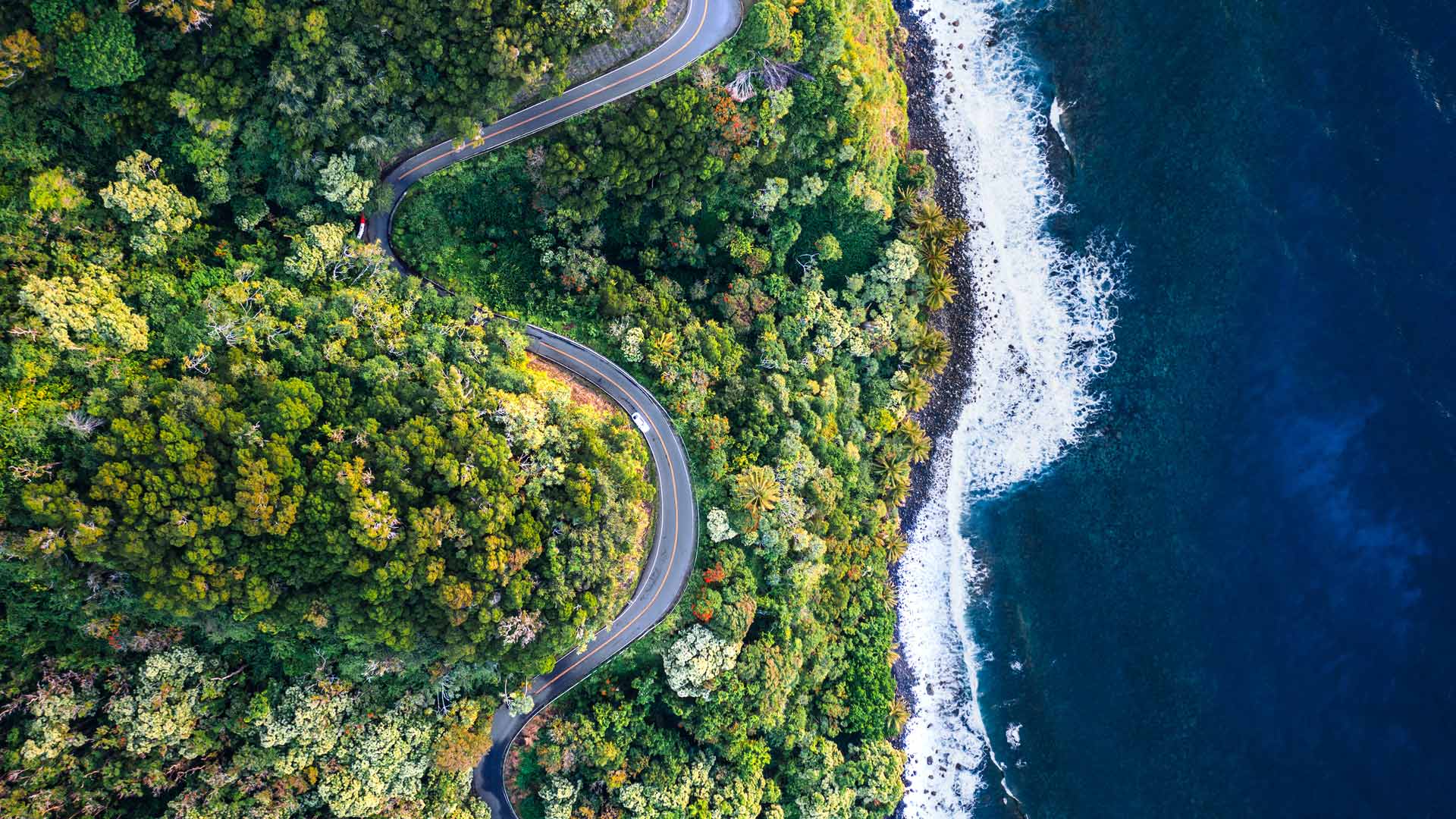 Road to Hana, Maui, Hawaii, United States