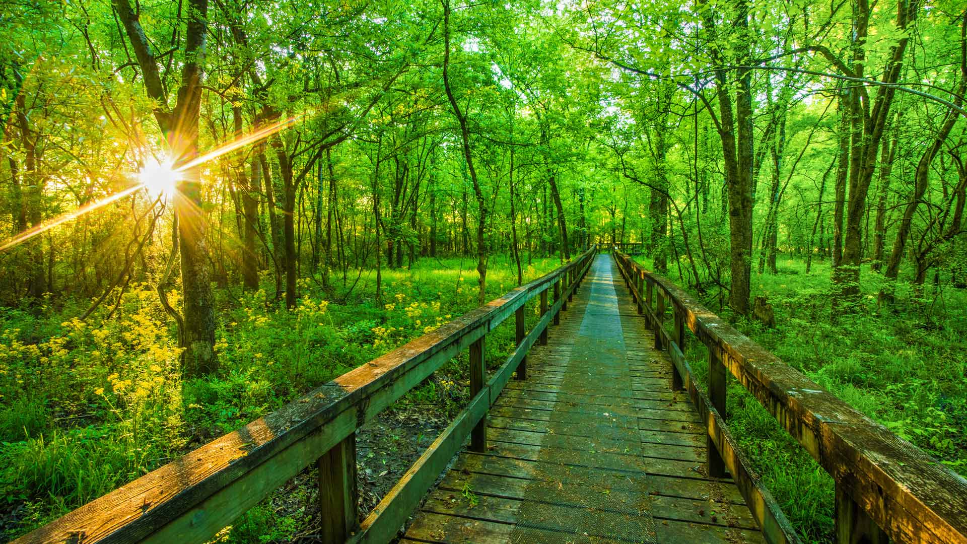 National Trails Day
