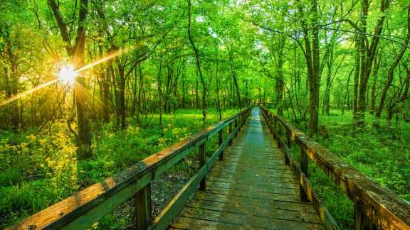 National Trails Day