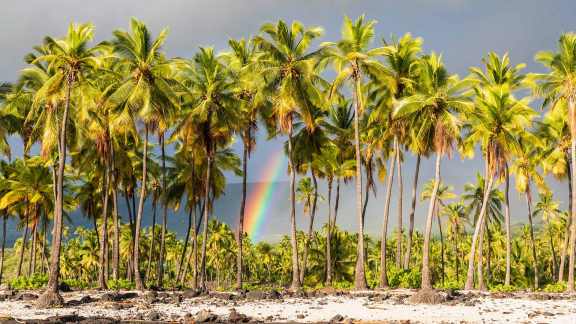 Arc-en-ciel paradisiaque