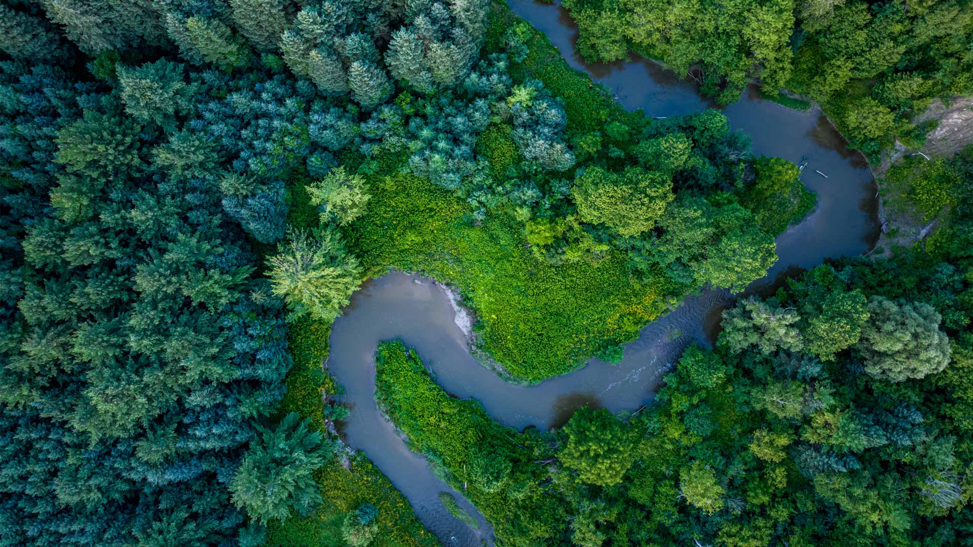 Humber River in Boyd Conservation Area, Vaughan, Ontario