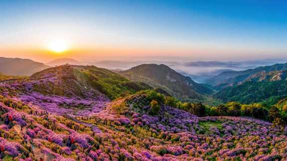 Positively purple peaks