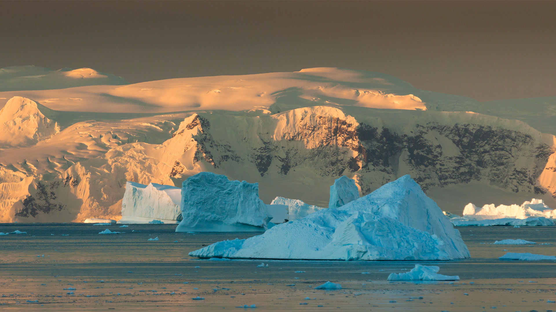 Bing HD Wallpaper Dec. 1, 2024: Antarctica Day - Bing Wallpaper Gallery