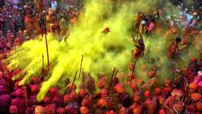 The festival of colours