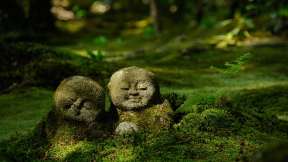 今日は地蔵盆