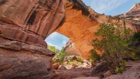 Natural Bridges National Monument, Utah, United States