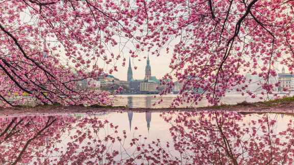 Frühling an der Binnenalster