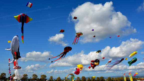 Journée mondiale du cerf-volant