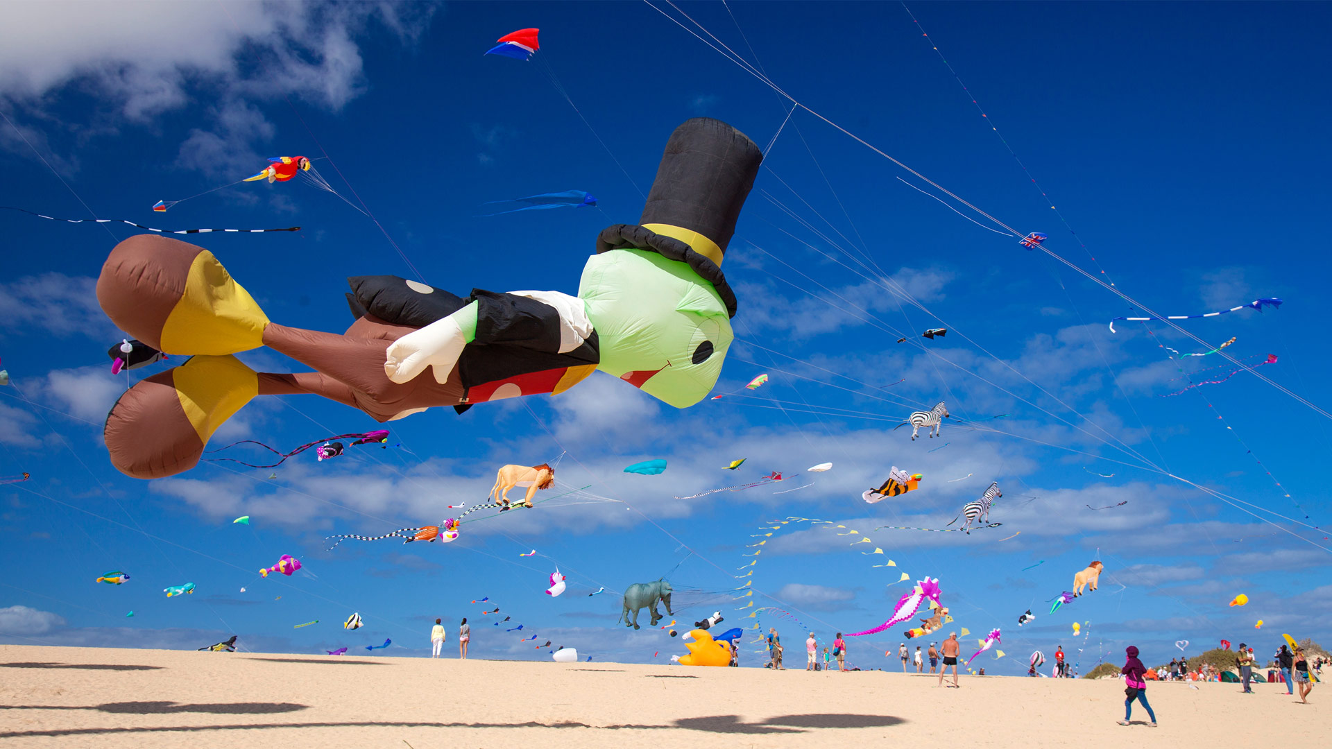 Festival Internacional de Cometas de Corralejo