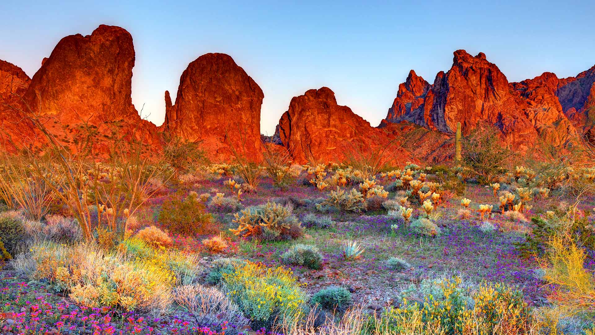 Refugio Nacional de Vida Silvestre de Kofa, Arizona, EE. UU.