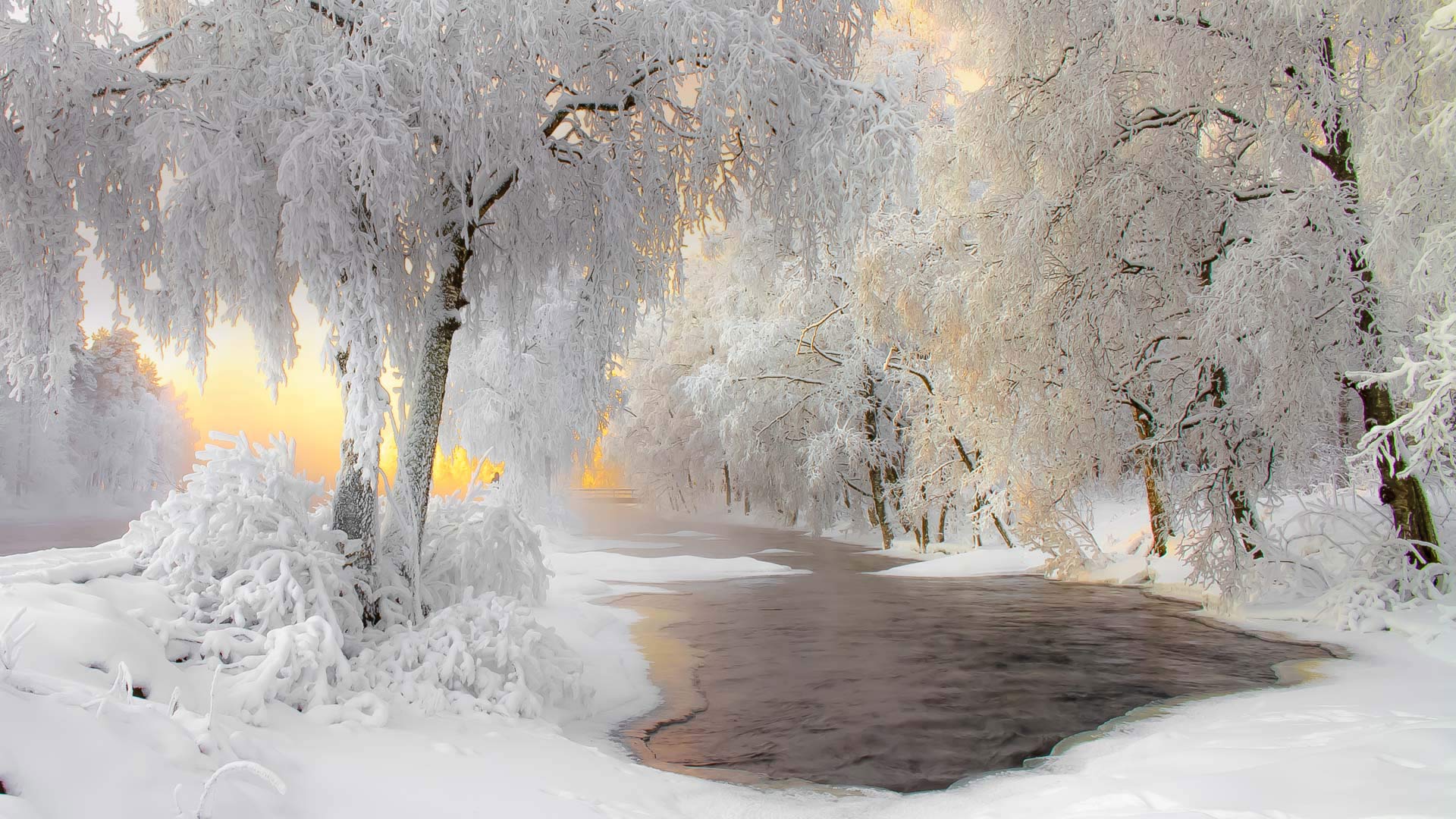 Winter scenery near Kuhmo, Finland