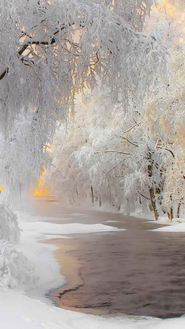 Winter scenery near Kuhmo, Finland