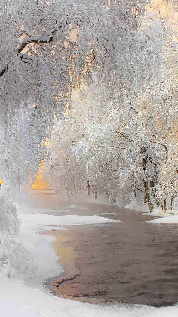 bing wallpaper winter scenes