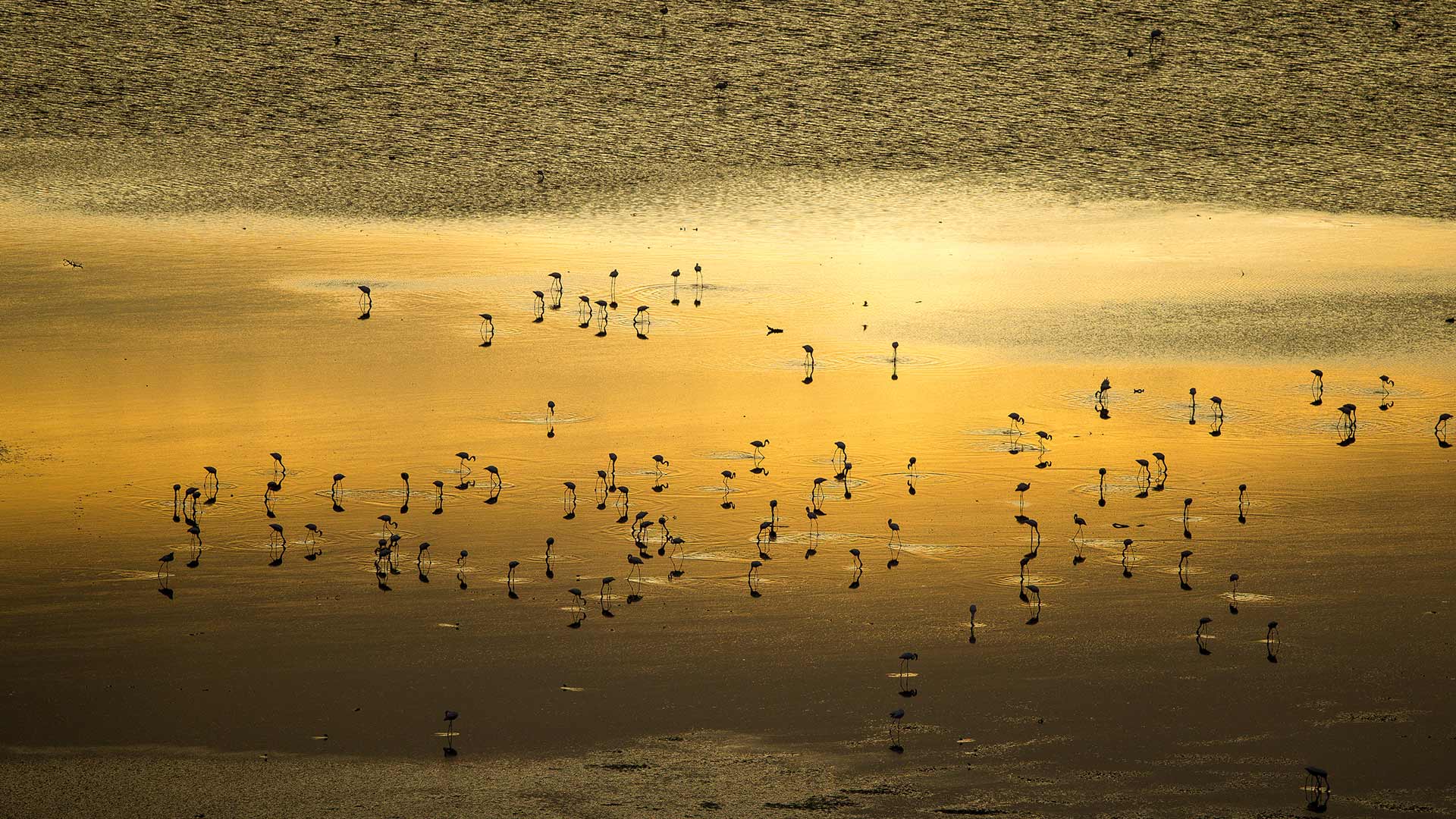 D&iacute;a Mundial de los Lagos
