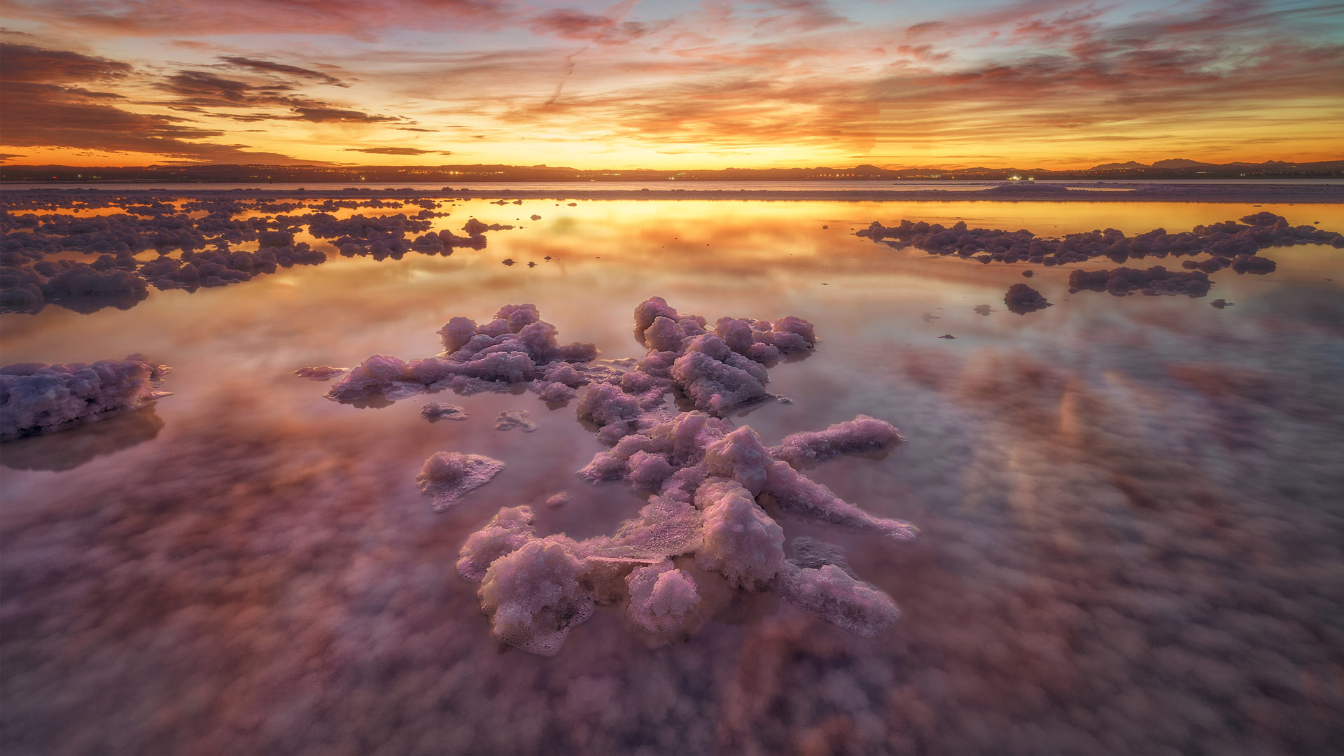 Laguna de Torrevieja, Spain