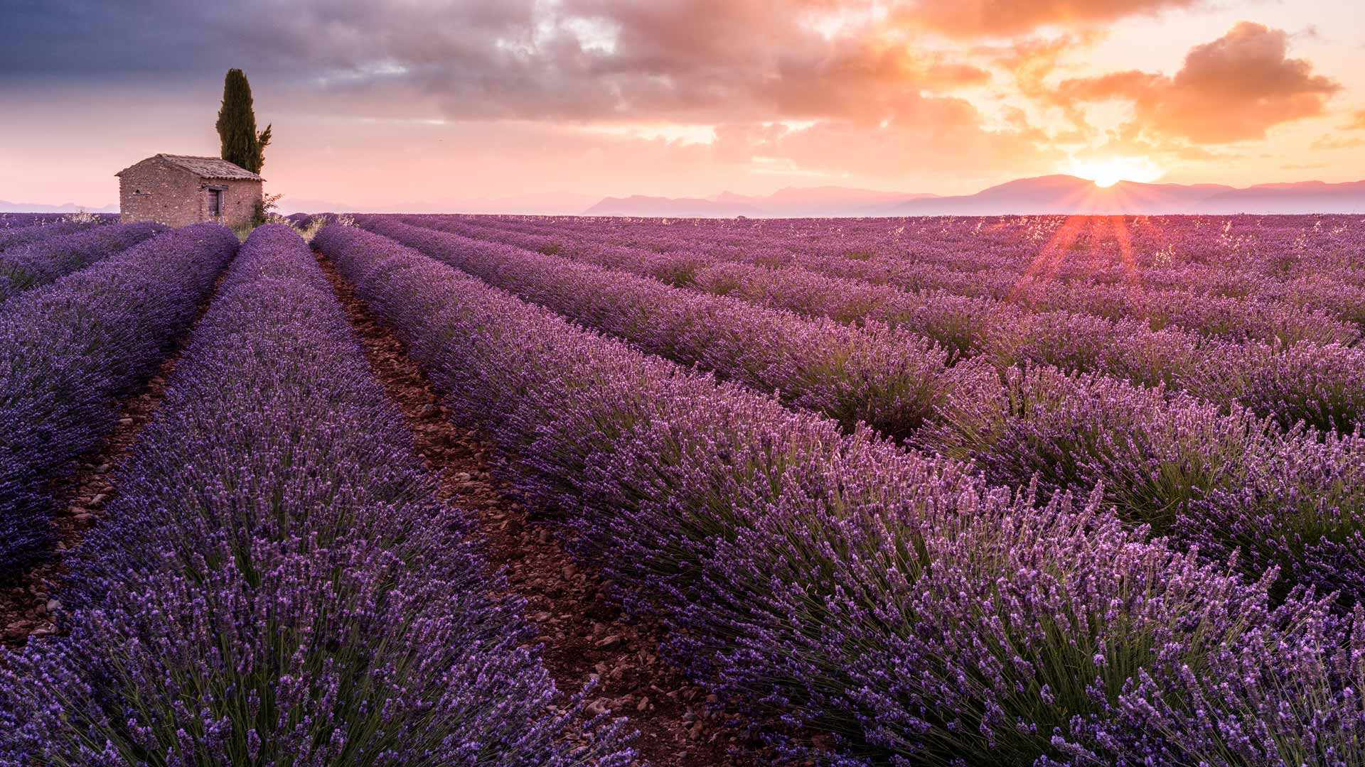 Un petit coin de paradis provençal