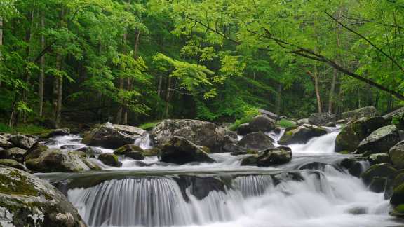 Little Pigeon River, Great Smoky Mountains, Tennessee