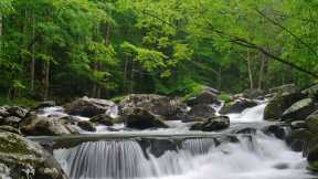 Little Pigeon River, Great Smoky Mountains National Park, United States