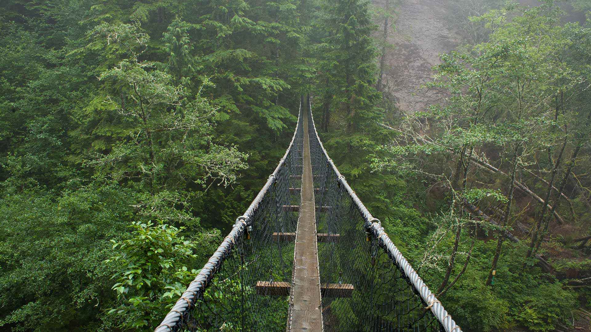 Logan Creek Suspension Bridge, West Coast Trail, Canada