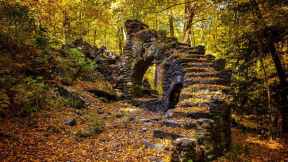 Madame Sherri Forest, New Hampshire